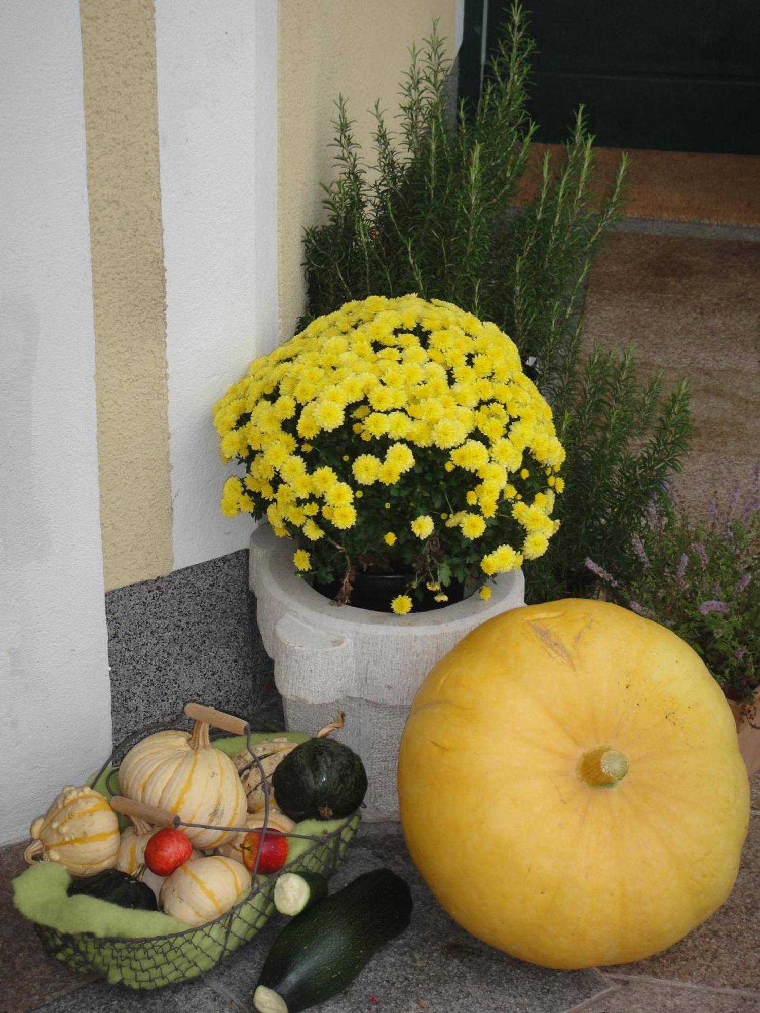 Ferienwohnung Haus Lehen Sankt Koloman Екстер'єр фото